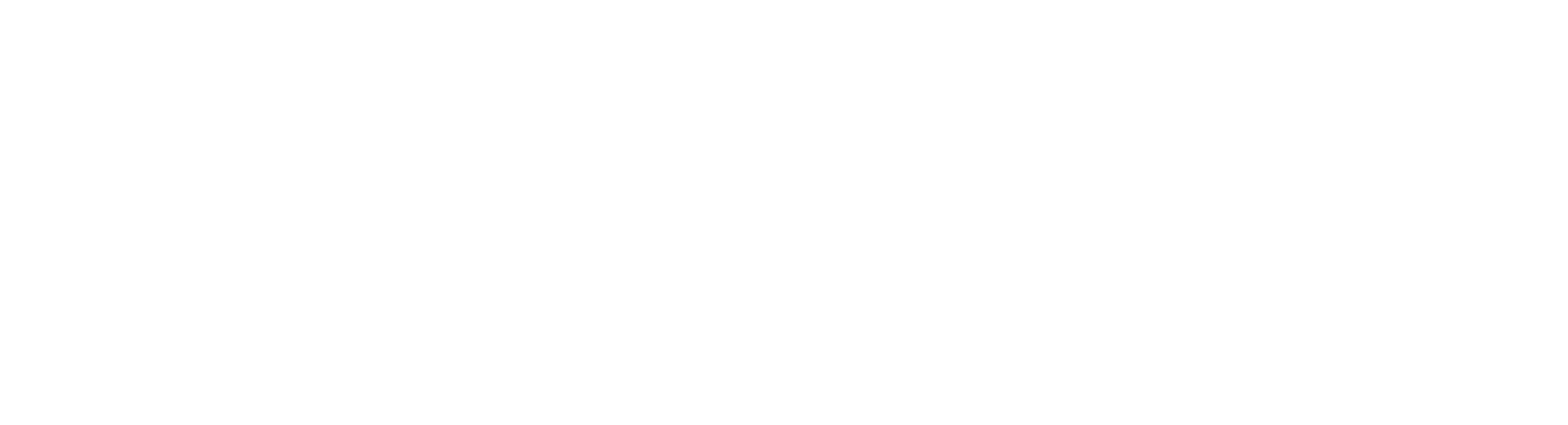Xero Gold Partner badge