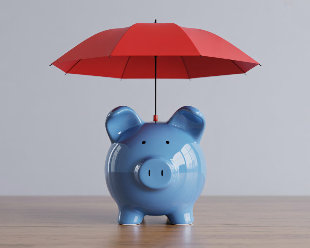 Profit protection system showing weekly profit transfer and margin leak checks