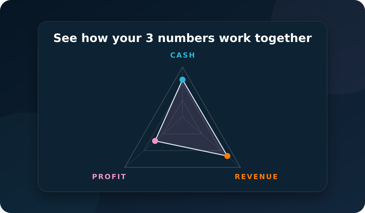 CPR Compass result showing Cash, Profit and Revenue triangle